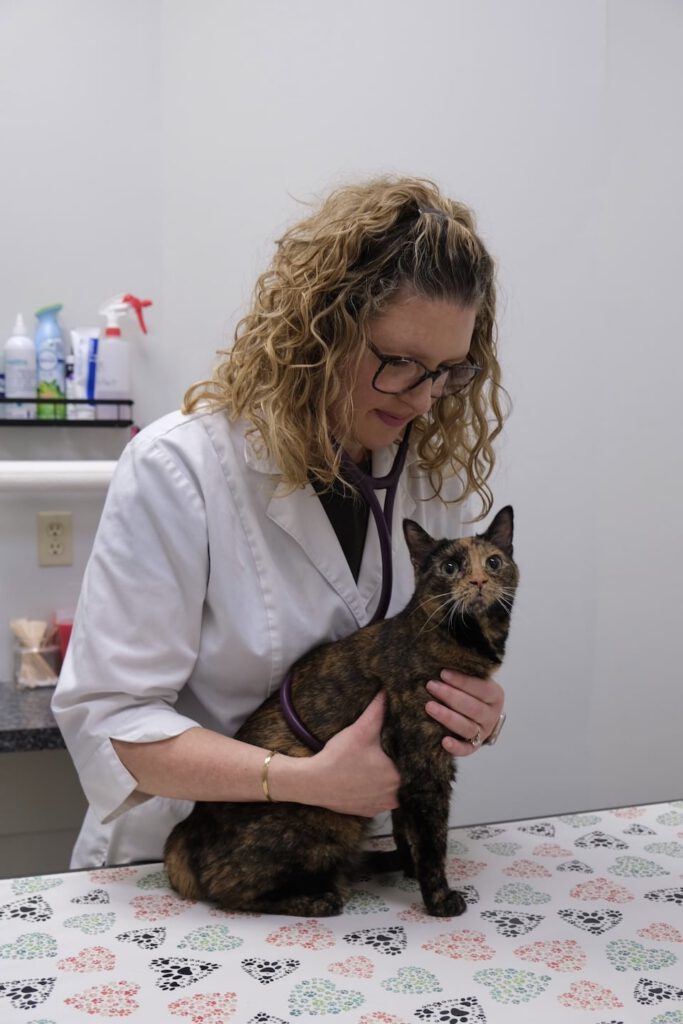 Action River Heights Animal Hospital 10