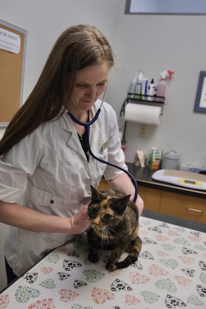 Action River Heights Animal Hospital 4