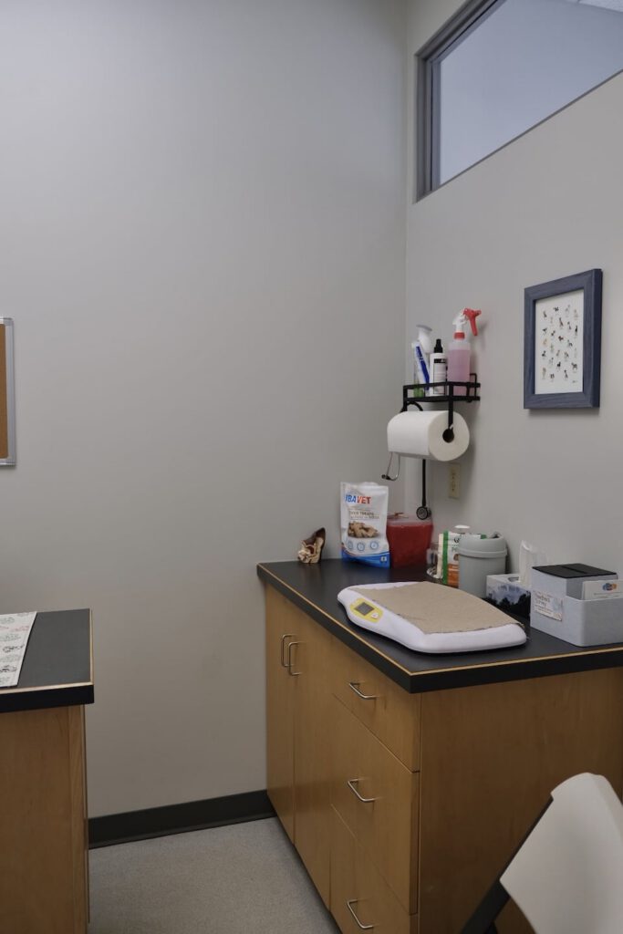 Interior River Heights Animal Hospital 4