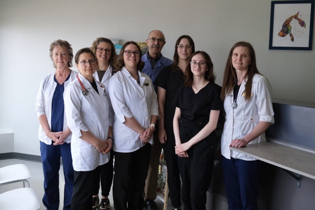 Team River Heights Animal Hospital 2