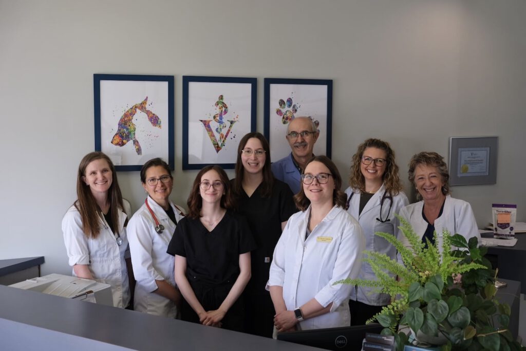Team River Heights Animal Hospital 4