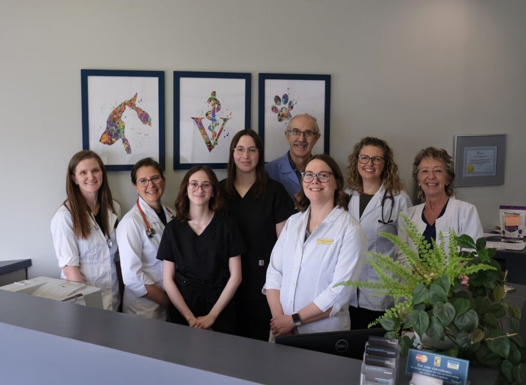 Team River Heights Animal Hospital 5
