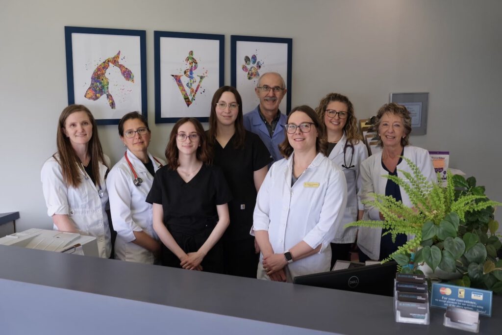Team River Heights Animal Hospital 6