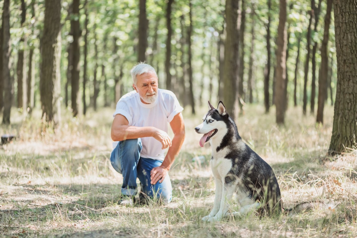 shutterstock 1012665775